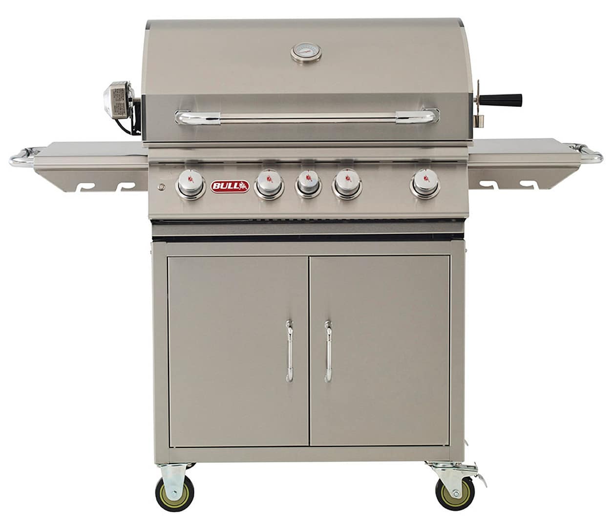 Bull Angus Standalone