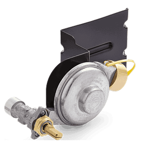Q 100 Regulator