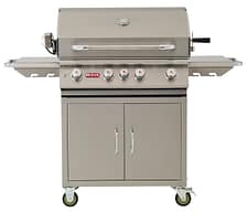 Bull Angus Standalone