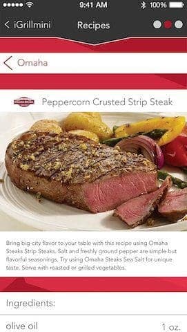 iGRILL MINI Set it and forget it